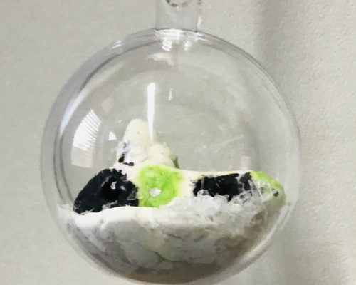 4EC95951-3D7D-484A-AE8E-DB5426C163F4