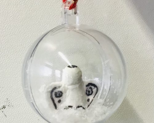 62C4B85C-0A06-4A7A-BBD8-DD93BF47909F