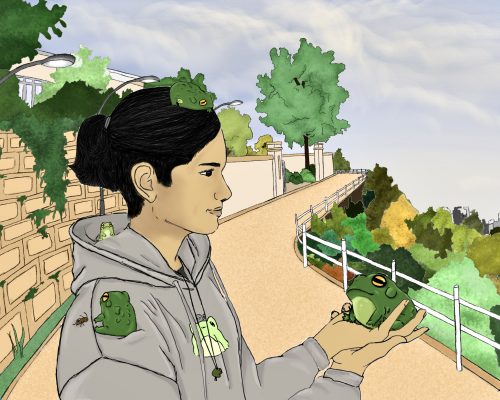 Aufloesung-50-IMG_2509